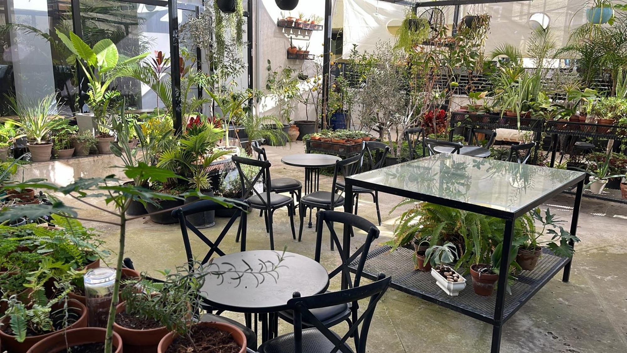 Bed and Breakfast Yona 8 à Tel-Aviv Extérieur photo